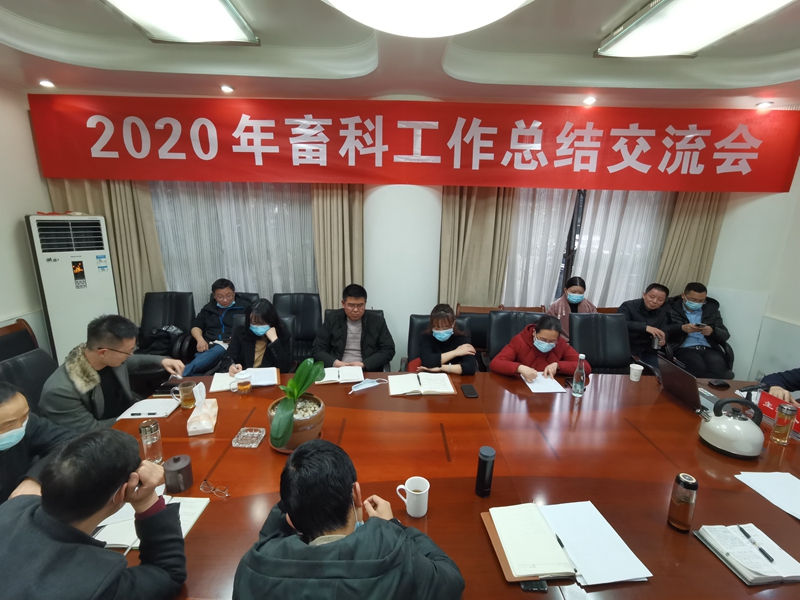 news01.jpg news01.jpg