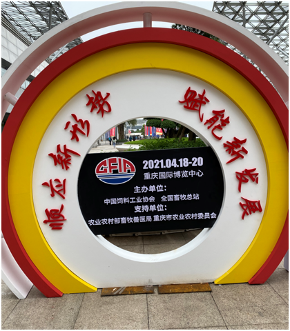 news19.png news19.png